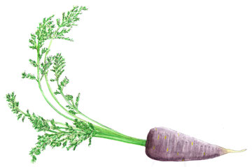 Biohof Rampini