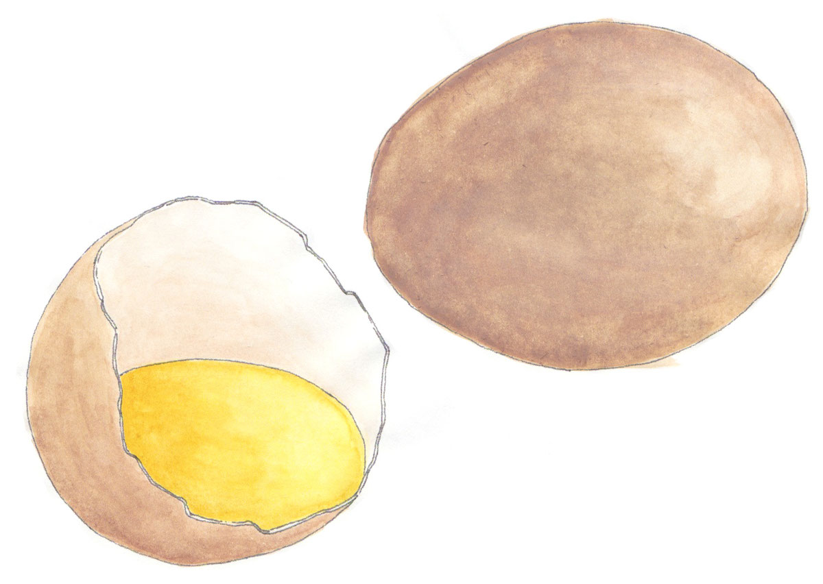 Bio Eier und Zusatzprodukte